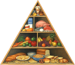 savetovaliste-food-pyramid-sm