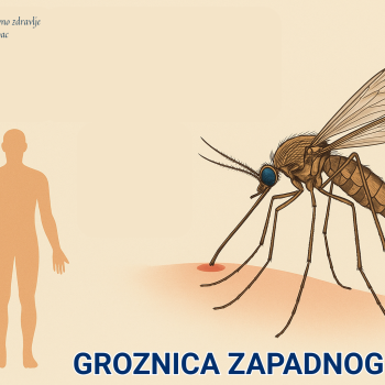 GROZNICA ZAPADNOG NILA (3)