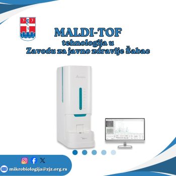 Pink & white Multiple Devices Instagram Post Guide Mockup (1)